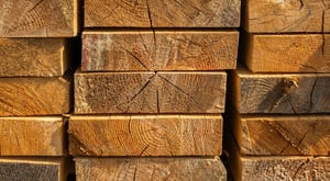 shutterstock_2498129475